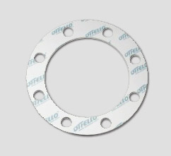 Modified PTFE Gasket