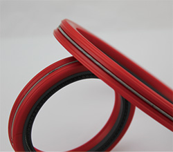 Double subdivisions oil seal CH862